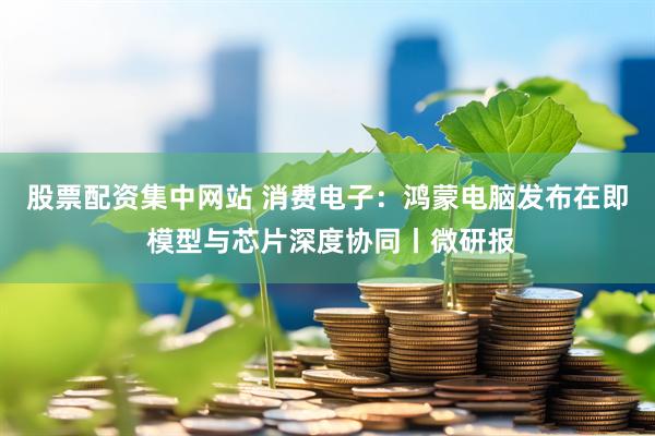 股票配资集中网站 消费电子：鸿蒙电脑发布在即 模型与芯片深度协同丨微研报
