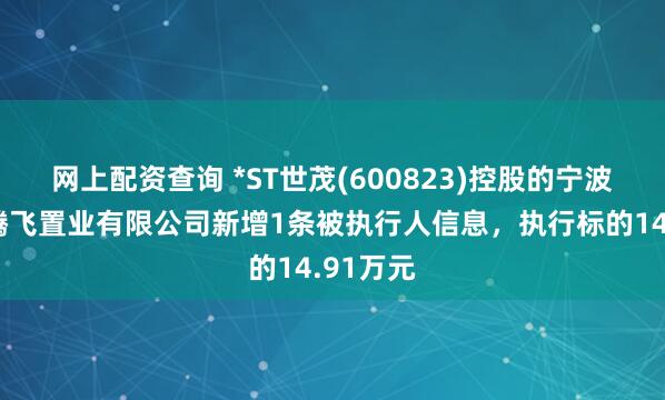 网上配资查询 *ST世茂(600823)控股的宁波世茂新腾飞置业有限公司新增1条被执行人信息，执行标的14.91万元
