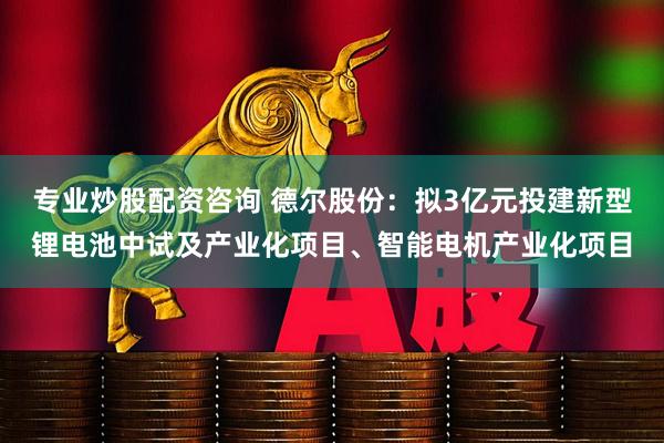 专业炒股配资咨询 德尔股份：拟3亿元投建新型锂电池中试及产业化项目、智能电机产业化项目
