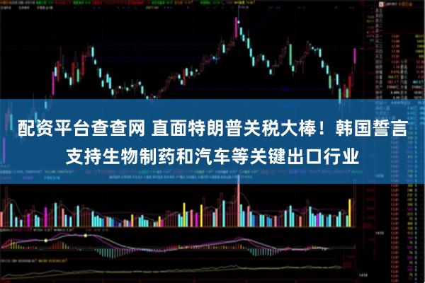 配资平台查查网 直面特朗普关税大棒！韩国誓言支持生物制药和汽车等关键出口行业