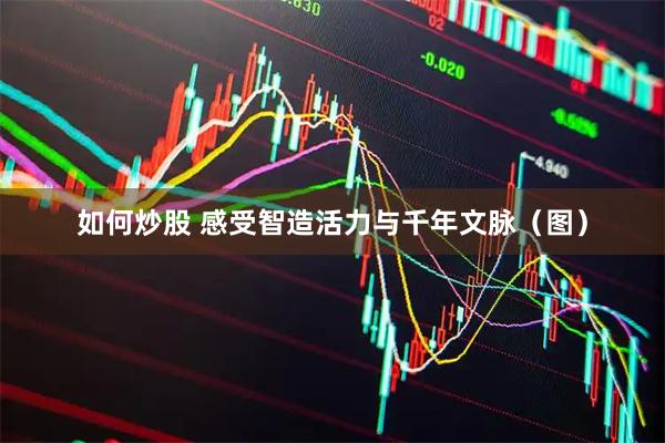 如何炒股 感受智造活力与千年文脉（图）