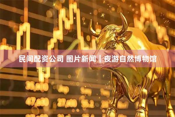 民间配资公司 图片新闻｜夜游自然博物馆
