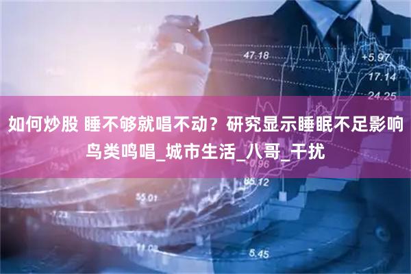 如何炒股 睡不够就唱不动？研究显示睡眠不足影响鸟类鸣唱_城市生活_八哥_干扰